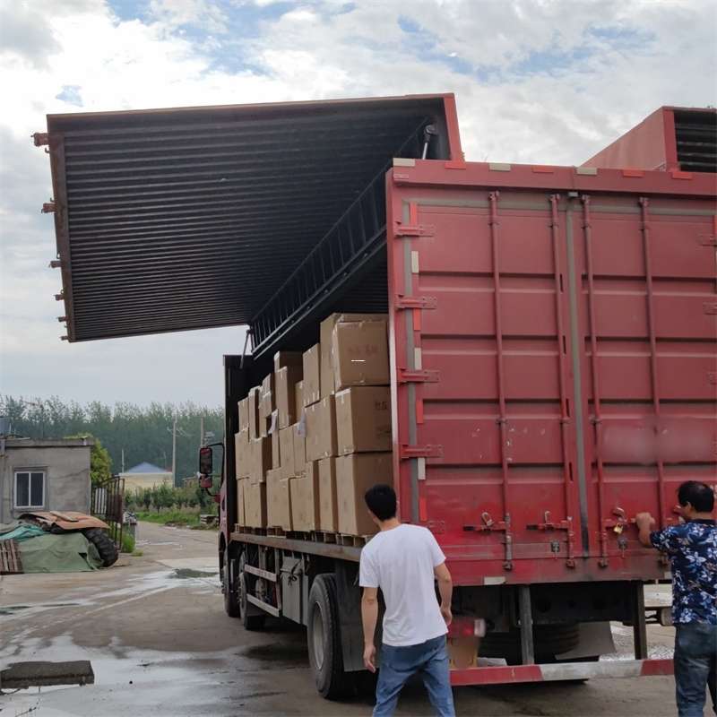 青岛市扎囊县：物流专线的高效货运之旅