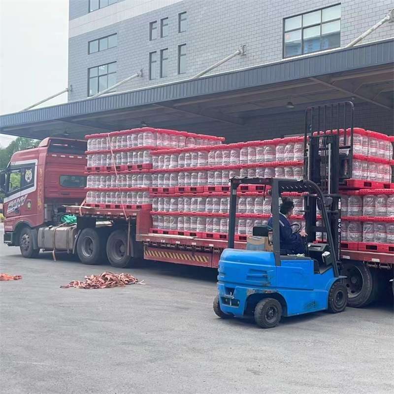 雨城区物流：多元服务与高效运输线路探秘